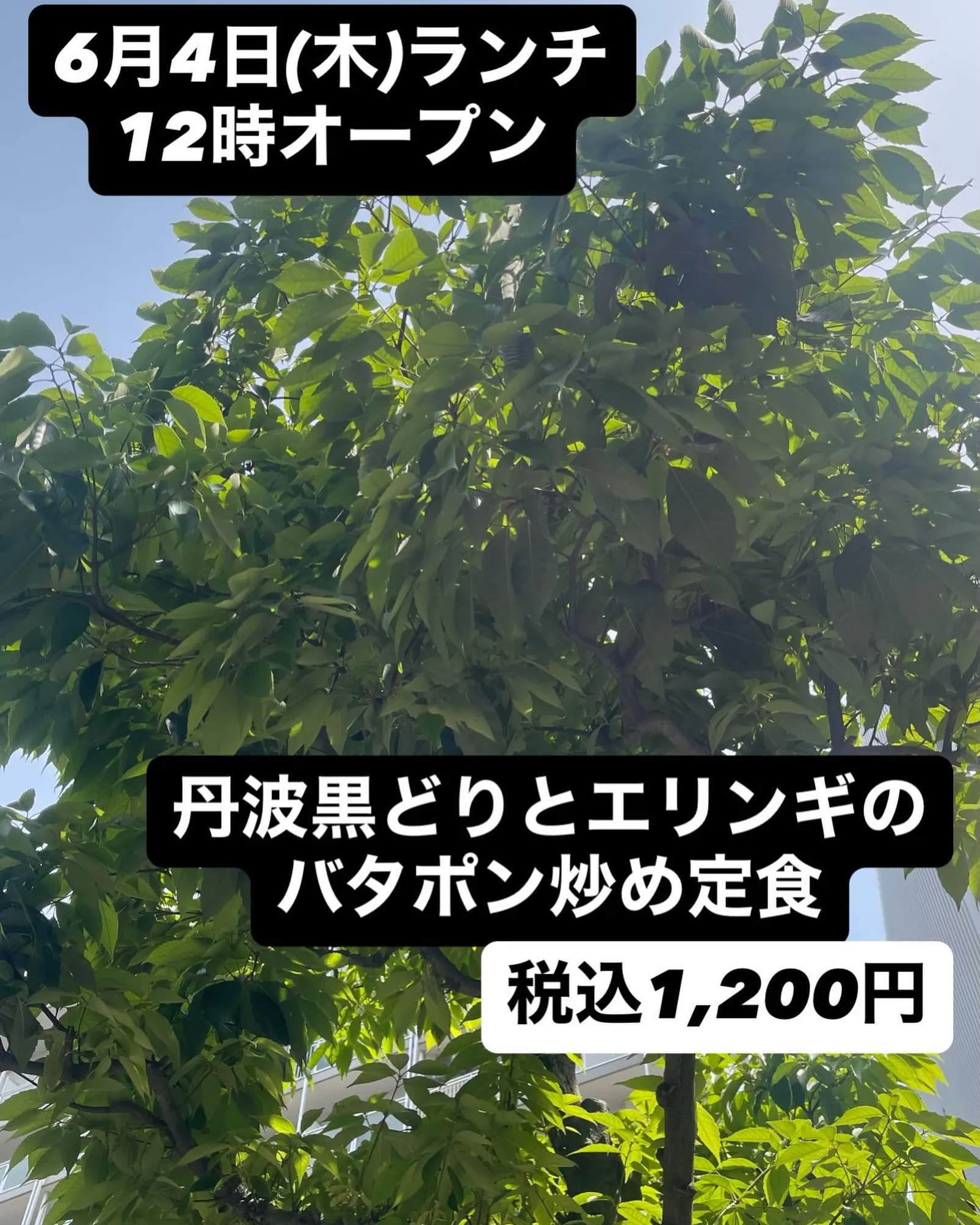 6月4日(木)ランチ12時オープン